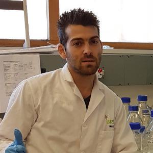 Emmanuel Margolin